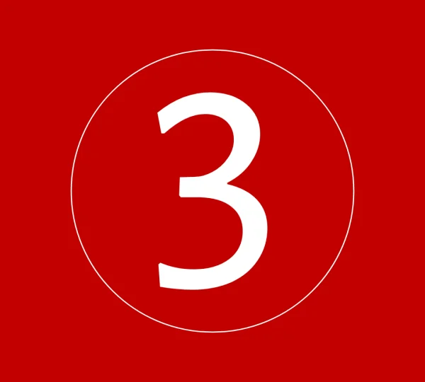 Automatic Lessons 1.5 hours